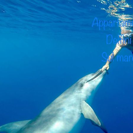 Appartamento Delfini Sul Mare Golfo Aranci Exterior foto