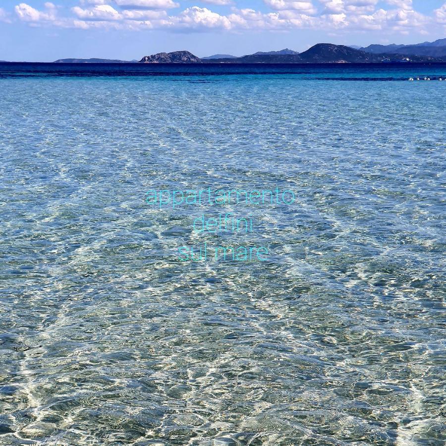 Appartamento Delfini Sul Mare Golfo Aranci Exterior foto