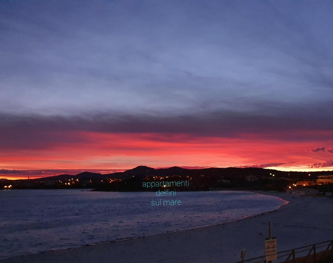 Appartamento Delfini Sul Mare Golfo Aranci Exterior foto